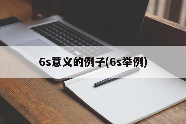 6s意义的例子(6s举例)